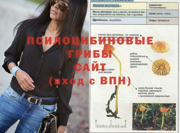 мяу мяу мука Белокуриха