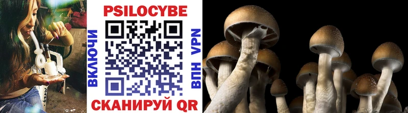 Галлюциногенные грибы прущие грибы  Короча 